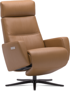 EKORNES AS, IMG SCANDIAVIA AS Galaxy Sky - Motorisert Lenestol -Møbel butikk 304528024 8836147