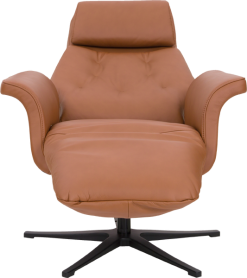 TROELS MØBLER AS Element Lux - Lenestol -Møbel butikk 332607002 8731896